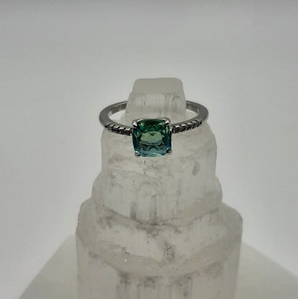 R877 Ombre Ring Plated - Fragrant Jewels